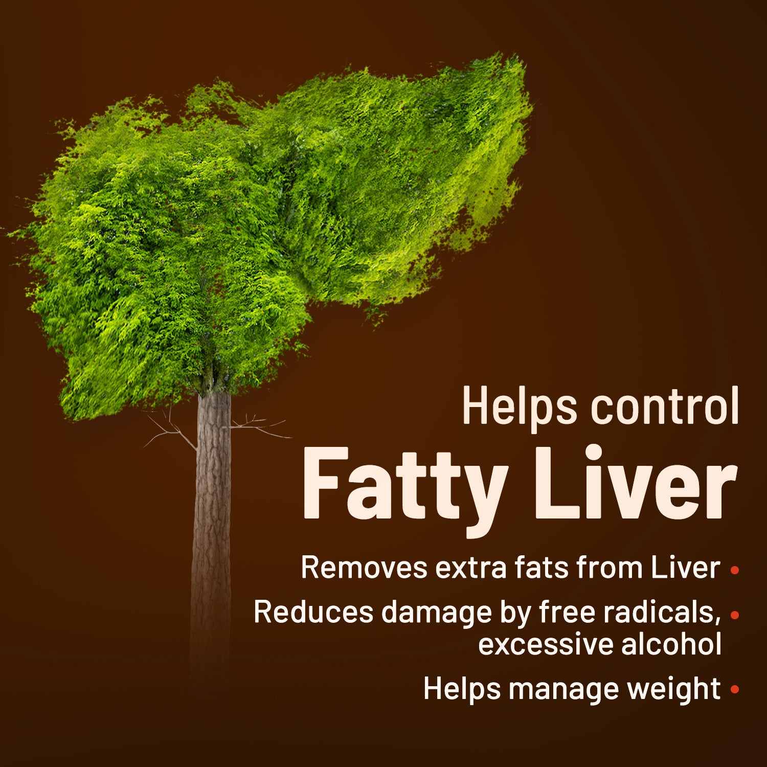 Liver Detox Ayurvedic Tablets