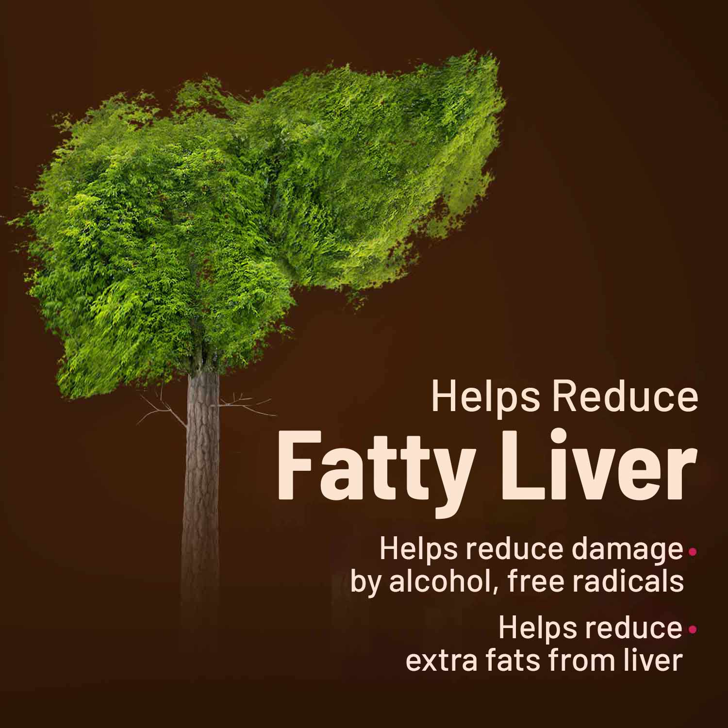 Liver Detox Ayurvedic Tablets