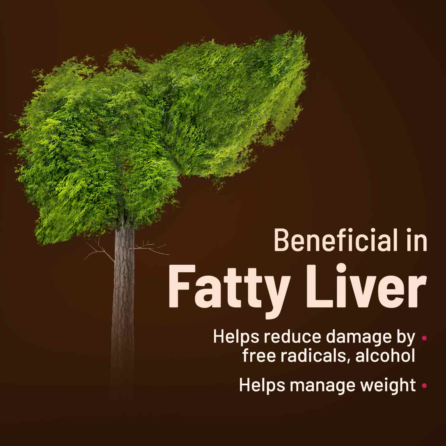 Liver Detox Ayurvedic Tablets