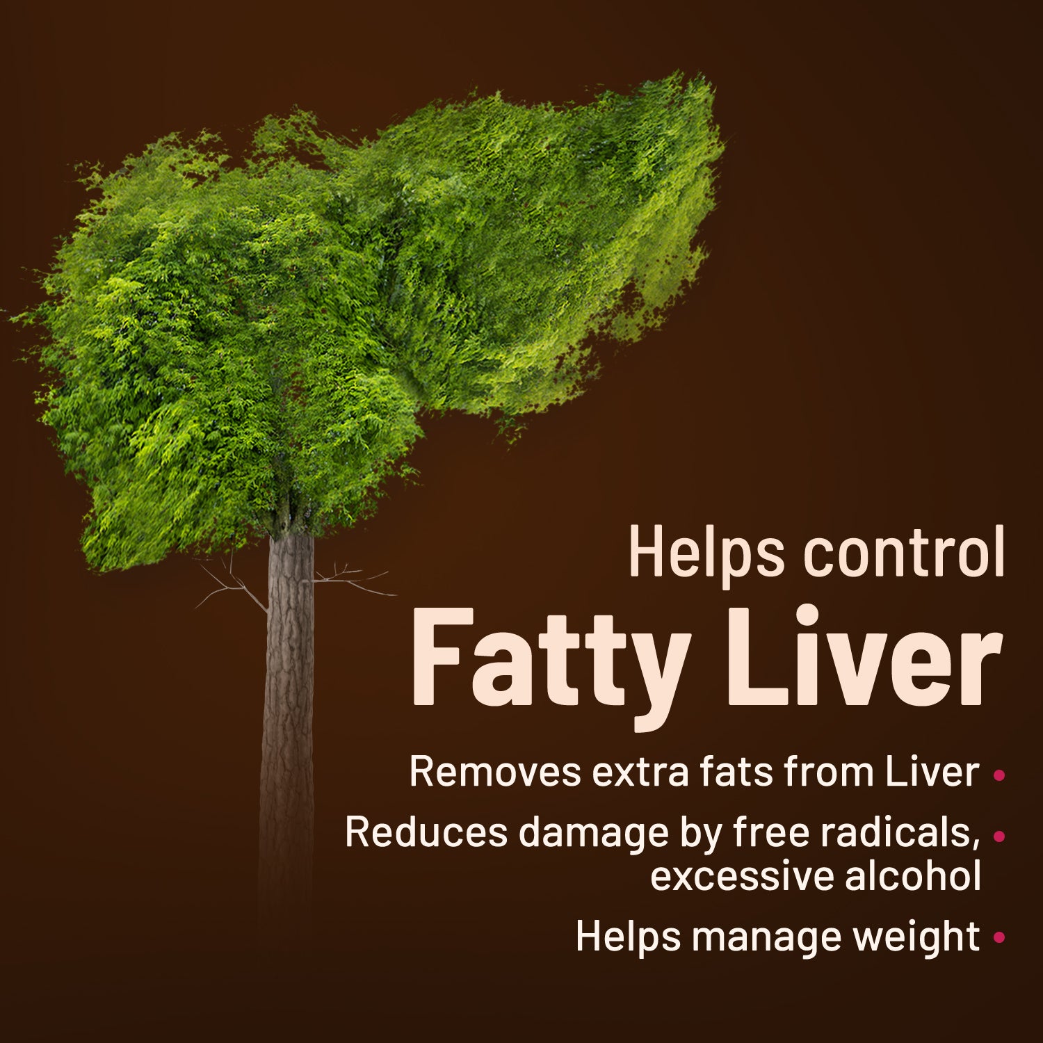 Liver Detox Ayurvedic Tablets