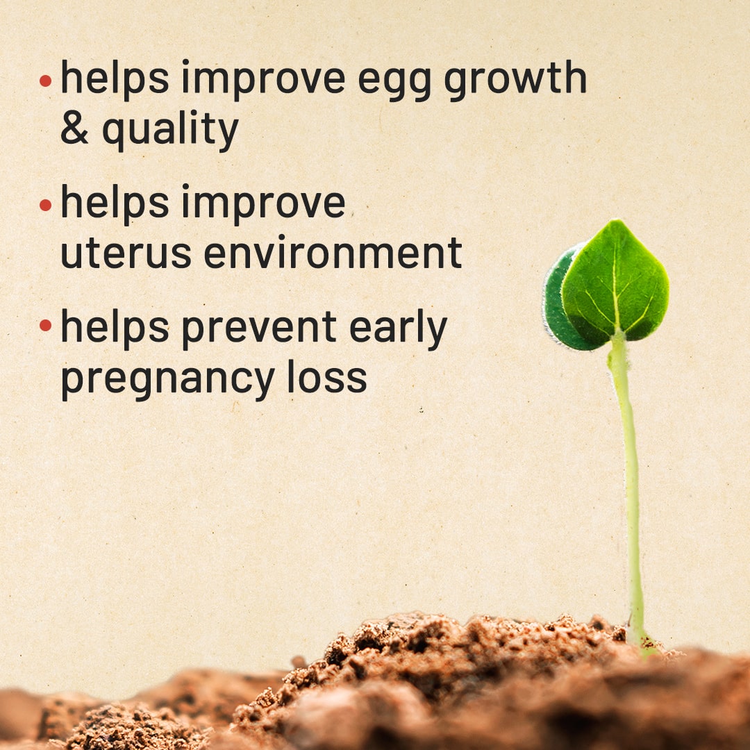 Gynoveda Fertility Ayurvedic Tablets For Natural Preganancy
